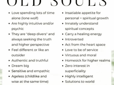 Wildest Things in the World